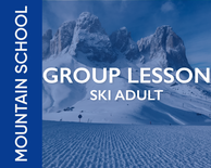 Ski Half Day Group Lessons - Adult